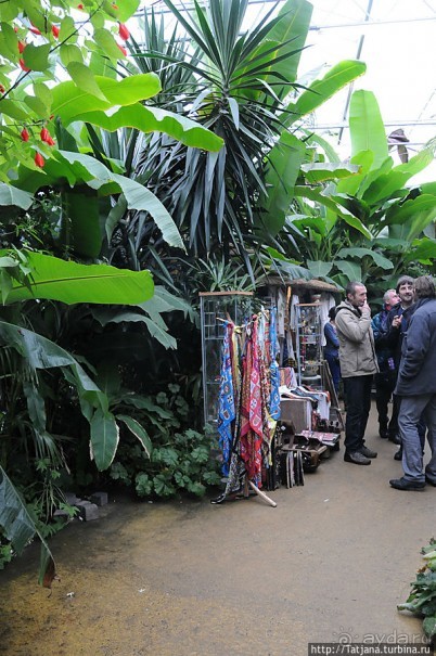 Выставка цветов в Голландии "Floriada"