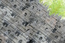 Выставка цветов в Голландии "Floriada"