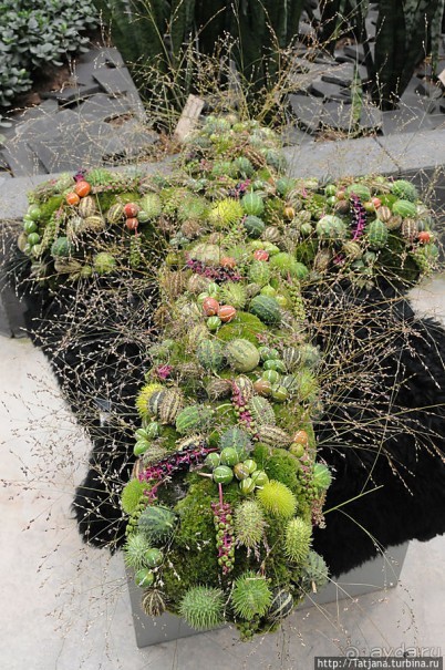 Выставка цветов в Голландии "Floriada"