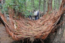 Выставка цветов в Голландии "Floriada"