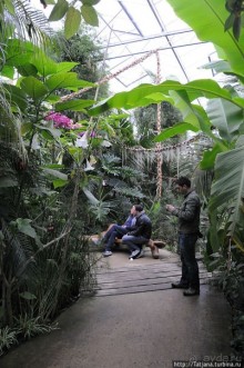 Выставка цветов в Голландии "Floriada"