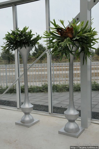 Выставка цветов в Голландии "Floriada"