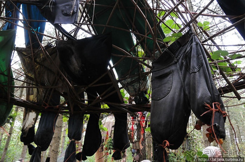 Выставка цветов в Голландии "Floriada"