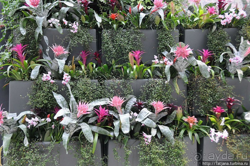 Выставка цветов в Голландии "Floriada"