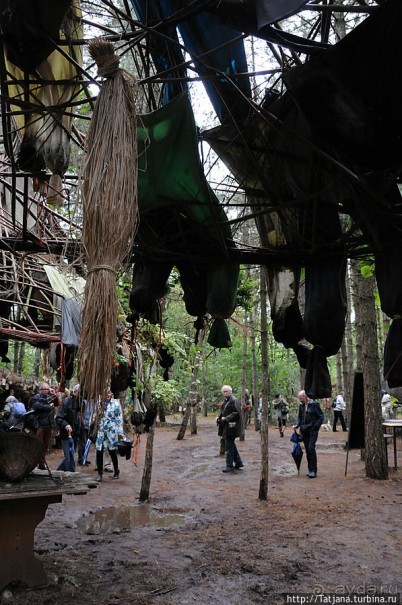 Выставка цветов в Голландии "Floriada"