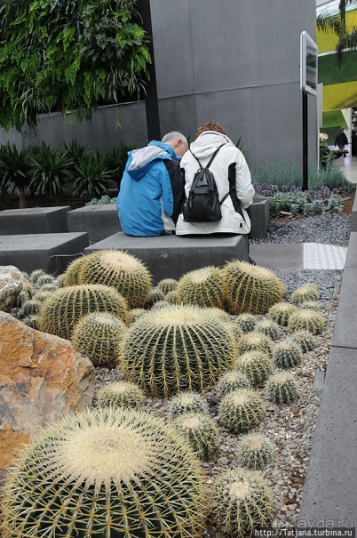 Выставка цветов в Голландии "Floriada"