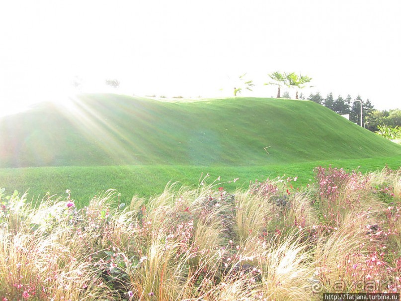 Выставка цветов в Голландии "Floriada"