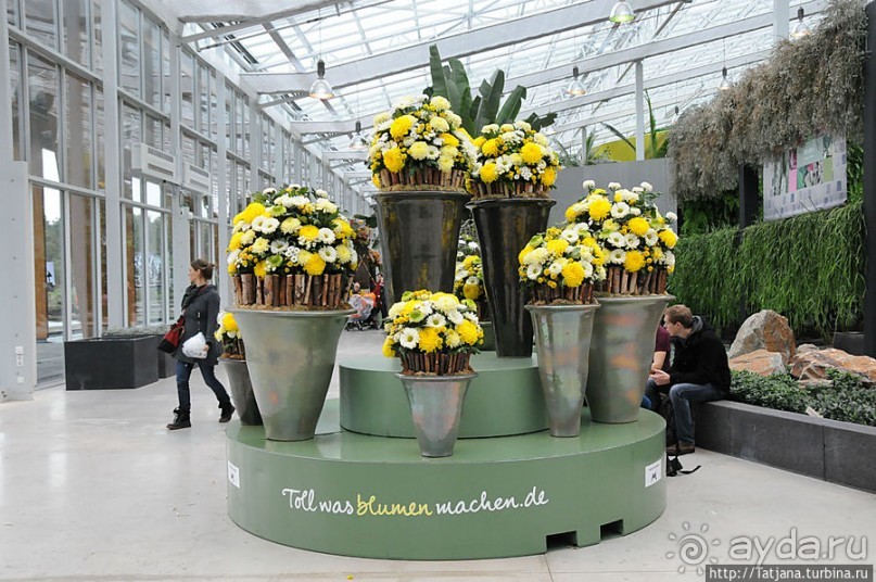 Выставка цветов в Голландии "Floriada"