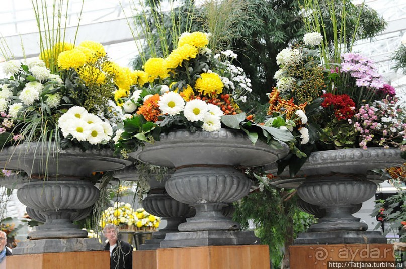 Выставка цветов в Голландии "Floriada"