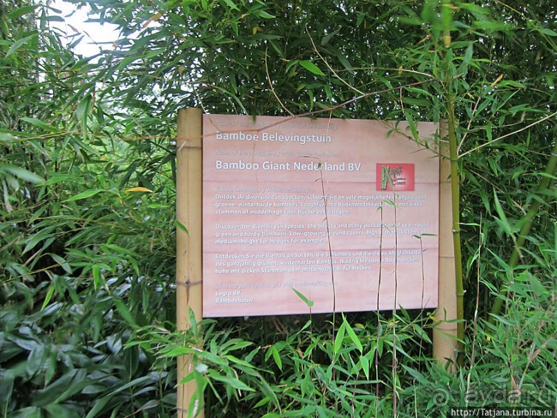 Выставка цветов в Голландии "Floriada"