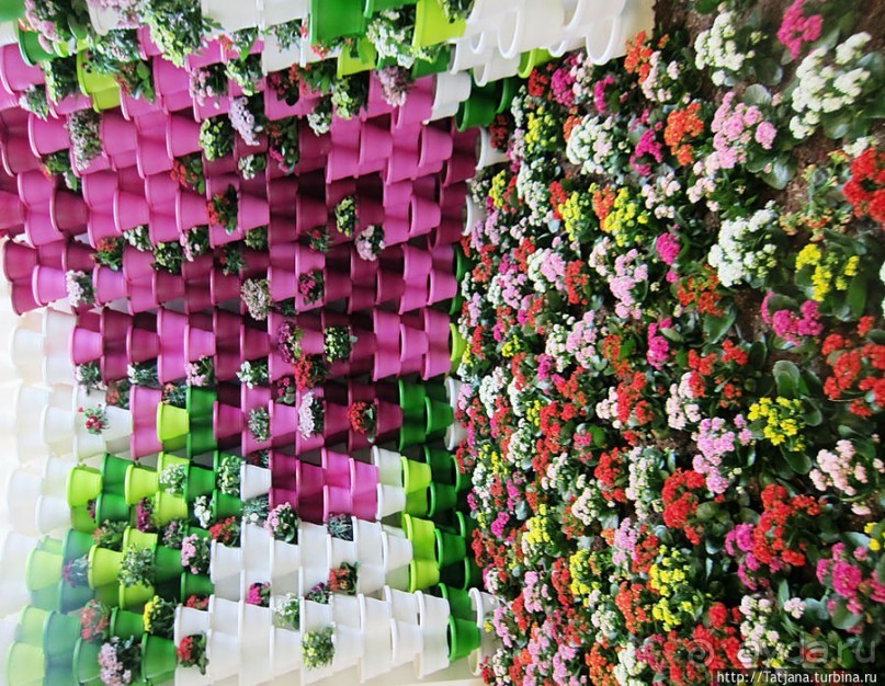 Выставка цветов в Голландии "Floriada"