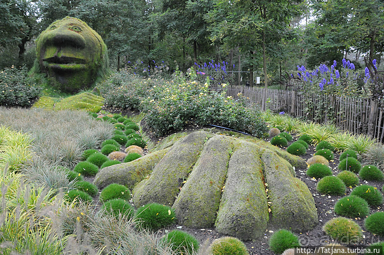 Выставка цветов в Голландии "Floriada"