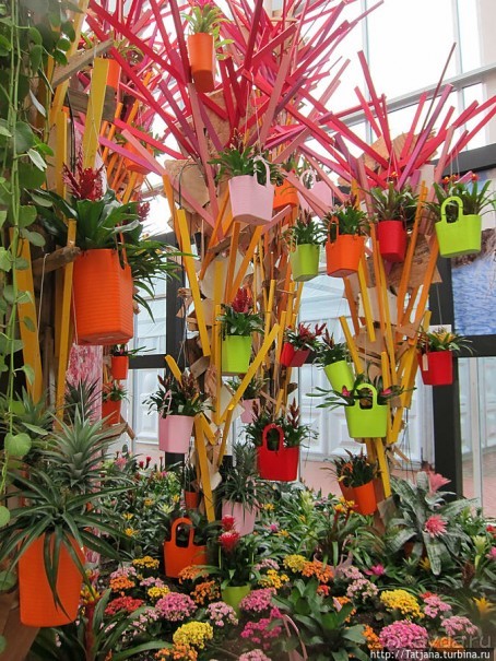 Выставка цветов в Голландии "Floriada"