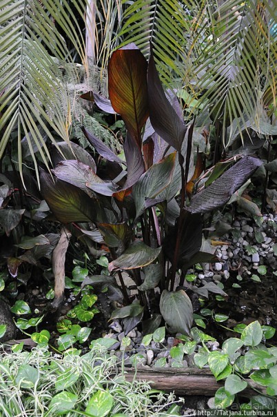 Выставка цветов в Голландии "Floriada"