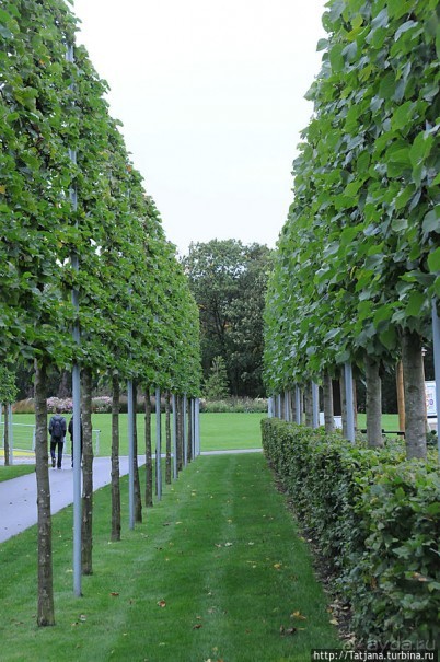 Выставка цветов в Голландии "Floriada"