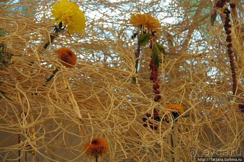 Выставка цветов в Голландии "Floriada"