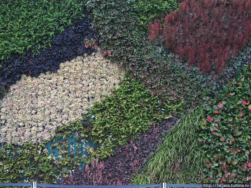 Выставка цветов в Голландии "Floriada"