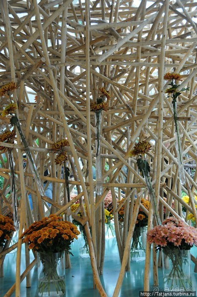 Выставка цветов в Голландии "Floriada"