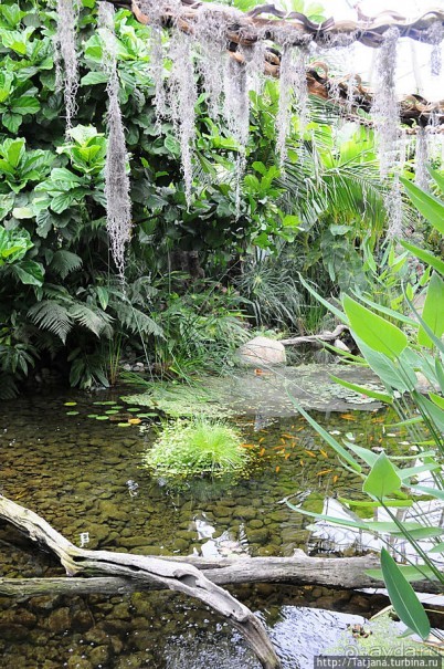 Выставка цветов в Голландии "Floriada"