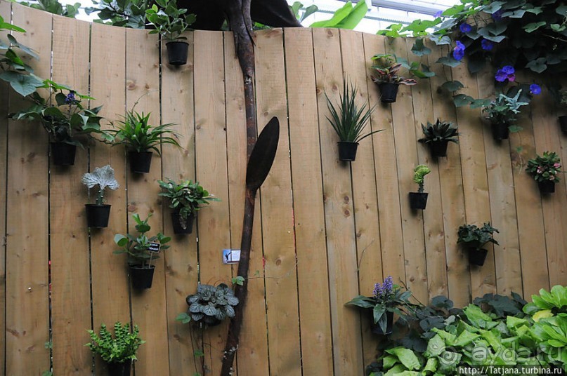 Выставка цветов в Голландии "Floriada"