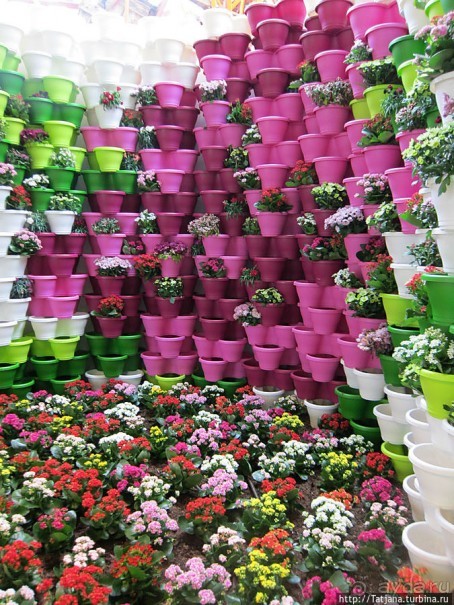 Выставка цветов в Голландии "Floriada"