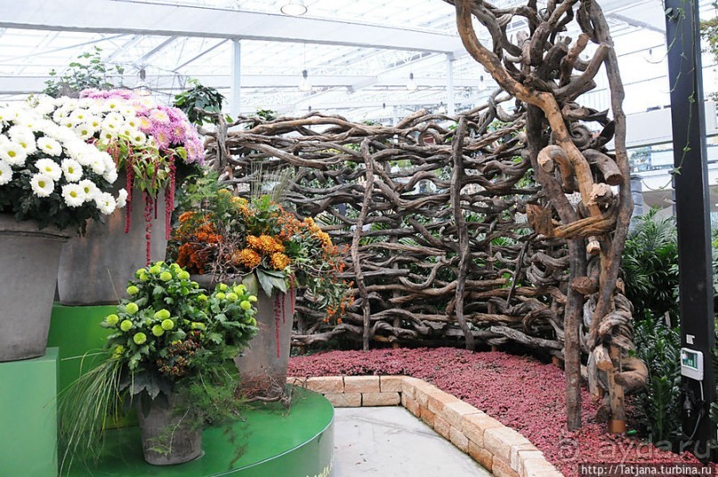 Выставка цветов в Голландии "Floriada"