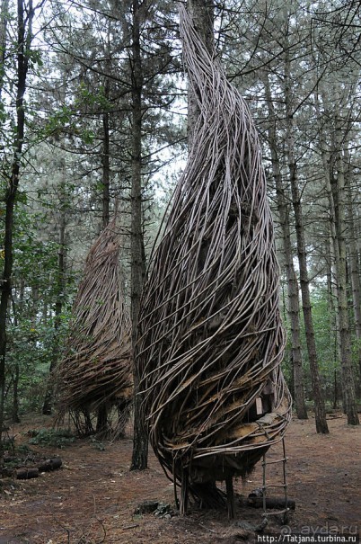 Выставка цветов в Голландии "Floriada"