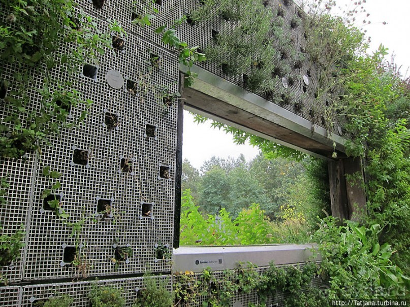 Выставка цветов в Голландии "Floriada"