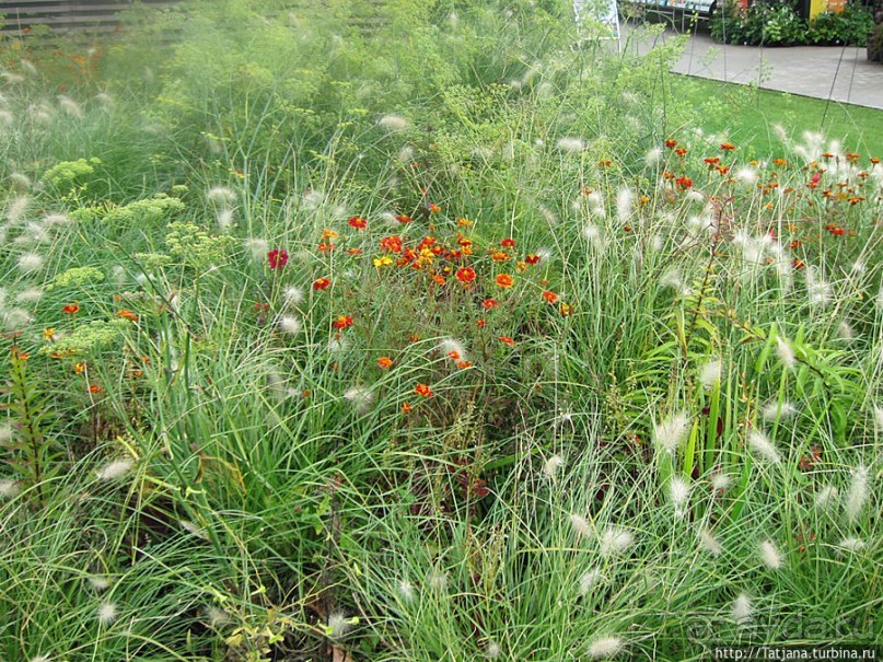 Выставка цветов в Голландии "Floriada"