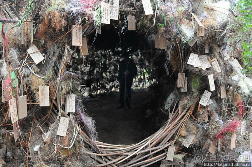 Выставка цветов в Голландии "Floriada"