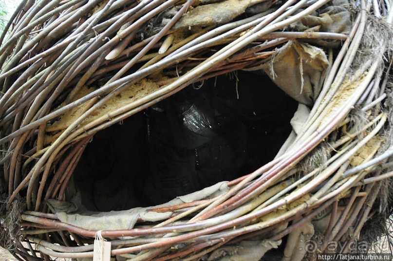 Выставка цветов в Голландии "Floriada"