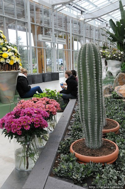 Выставка цветов в Голландии "Floriada"