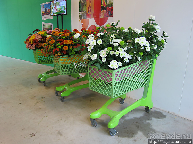 Выставка цветов в Голландии "Floriada"