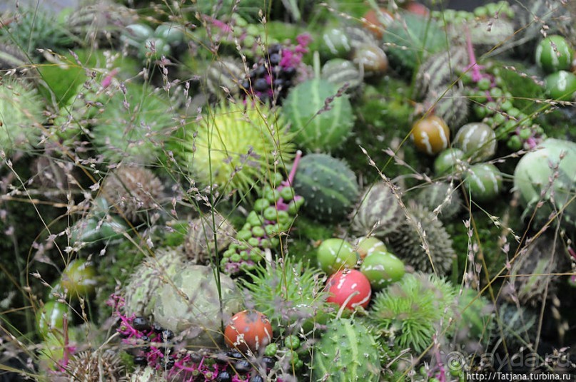 Выставка цветов в Голландии "Floriada"