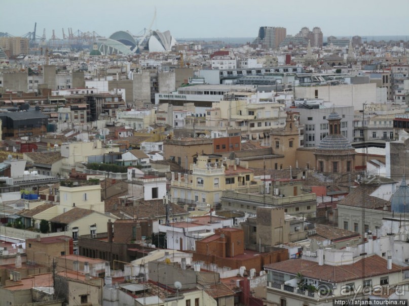 Кафедральный Собор , Чаша Святого Грааля и вид сверху