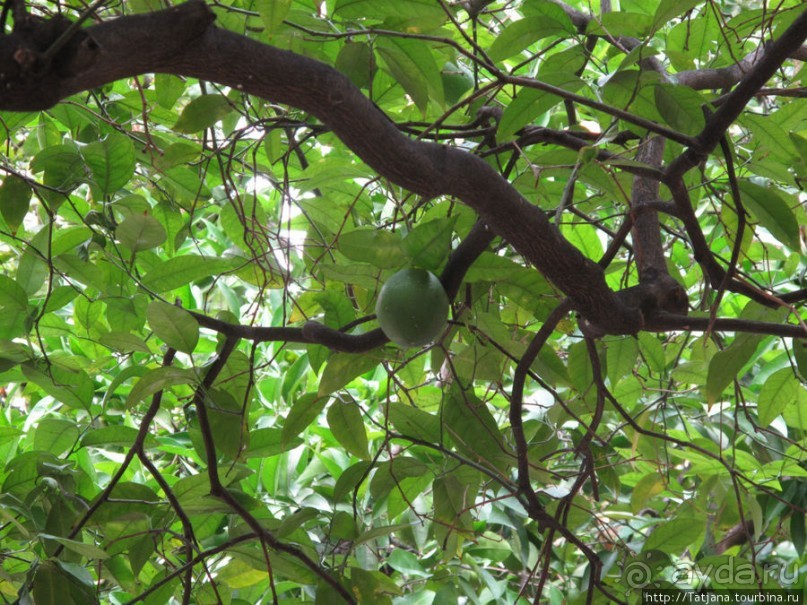 Торговая биржа по продаже шелка La Lonja de Seda