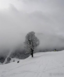 Альбом отзыва "Кирхберг и ее окрестности"