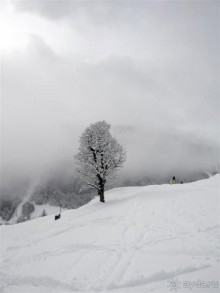 Альбом отзыва "Кирхберг и ее окрестности"