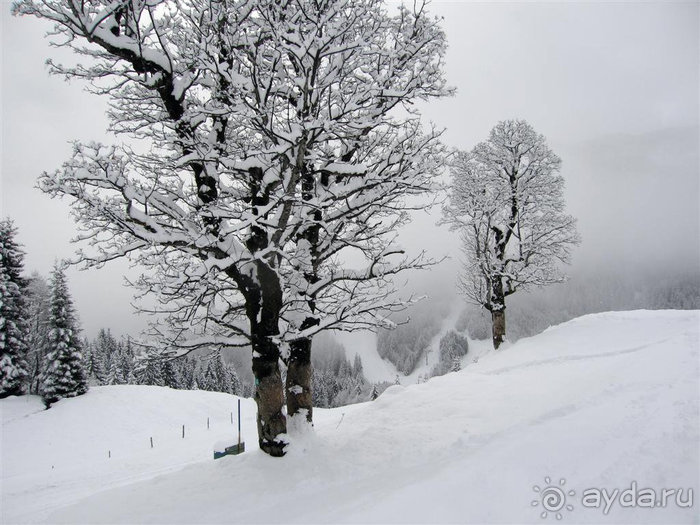 Альбом отзыва "Кирхберг и ее окрестности"