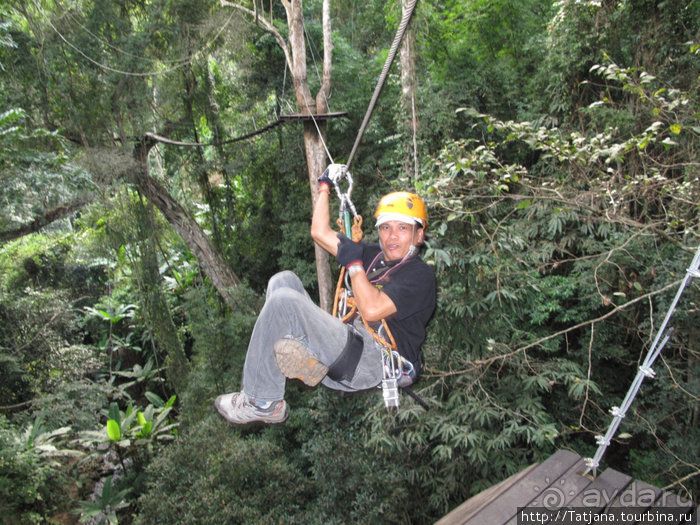 Захватывающая авантюра в тропических джунглях