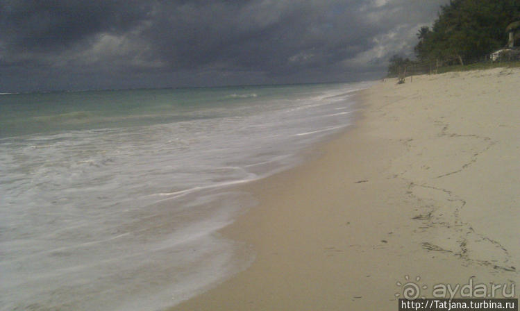 Шустрые обезьянки в отеле "Sautern Palms Beach Resort"