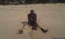 Шустрые обезьянки в отеле "Sautern Palms Beach Resort"