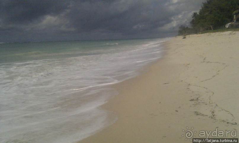 Шустрые обезьянки в отеле "Sautern Palms Beach Resort"