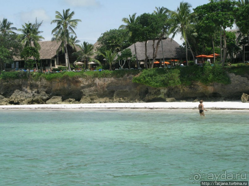 Шустрые обезьянки в отеле "Sautern Palms Beach Resort"