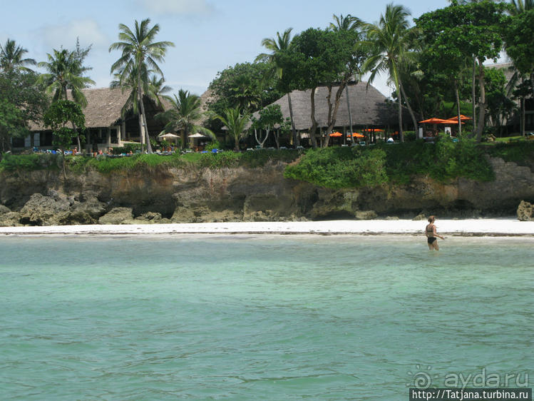 Шустрые обезьянки в отеле "Sautern Palms Beach Resort"