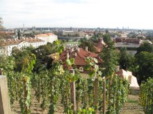 Привлекательная шпаргалка по Праге.