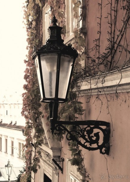 Привлекательная шпаргалка по Праге.