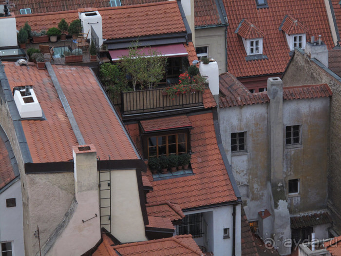 Привлекательная шпаргалка по Праге.