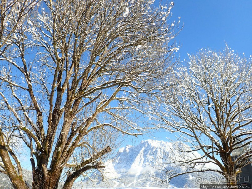 Альбом отзыва "Прекрасный отель в Лермосе рядом с подъемником"