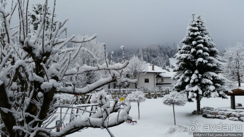 Альбом отзыва "Прекрасный отель в Лермосе рядом с подъемником"